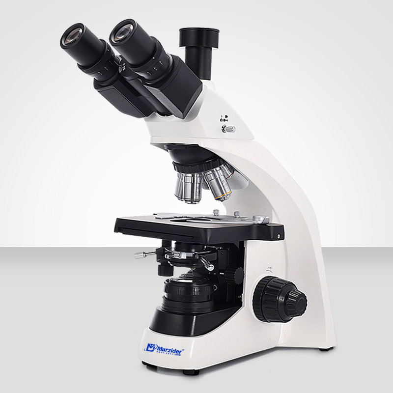 Murzider迈时迪     MSD701    生物显微镜