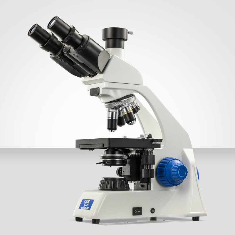 Murzider迈时迪    MSD1125     生物显微镜