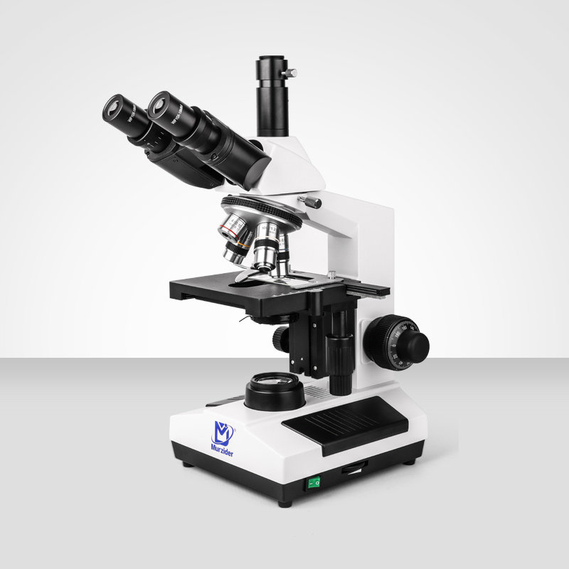 Murzider迈时迪    MSD4200     生物显微镜
