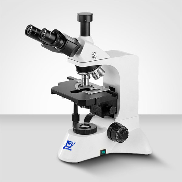 Murzider迈时迪     MSD3750    生物显微镜