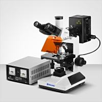 Murzider迈时迪     MSD7001    荧光显微镜
