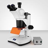 Murzider迈时迪   MSD540      荧光显微镜
