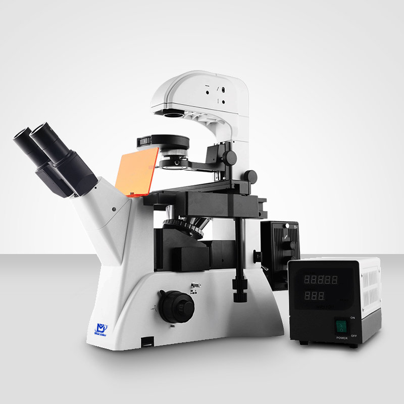 Murzider迈时迪      MSD530   荧光显微镜