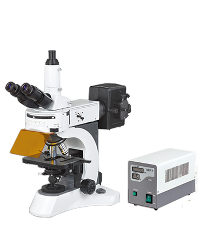 NOVEL永新    N-800F    实验室荧光显微镜