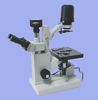 CAIKON蔡康    XSP-7CC   电脑型倒置生物显微镜