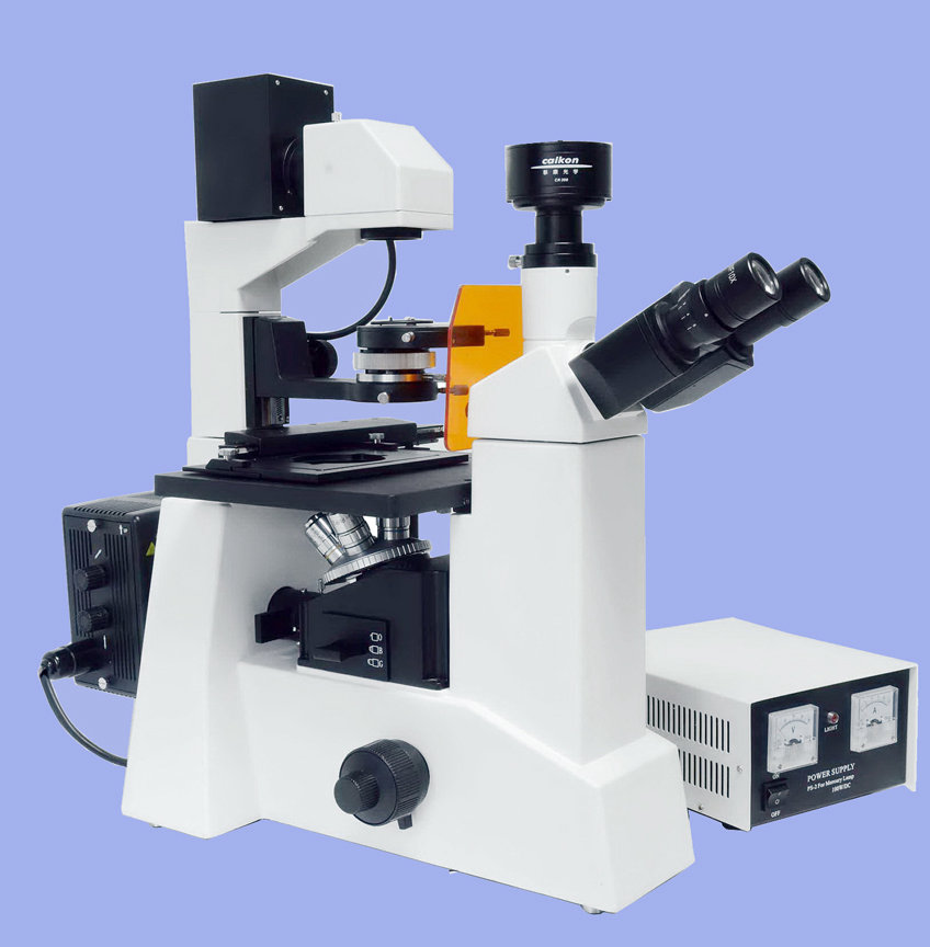 CAIKON蔡康   DFM-60C    电脑型倒置荧光显微镜