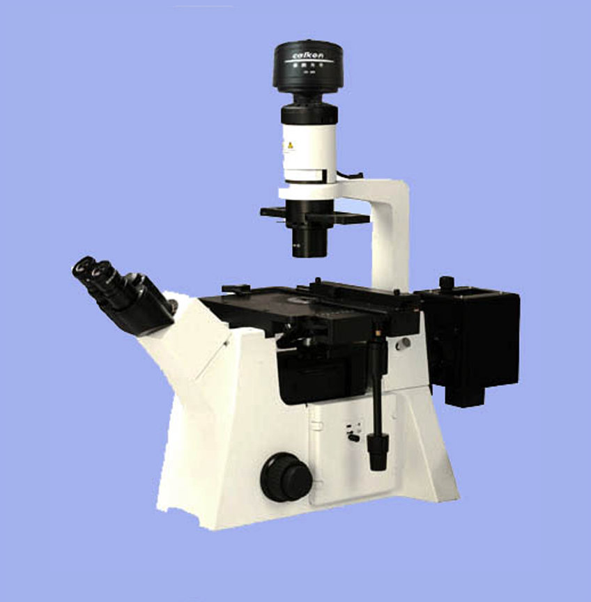 CAIKON蔡康   DFM-80C    倒置荧光显微镜