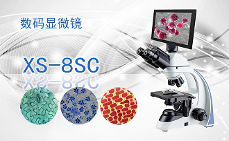PUZHE蒲柘    XS-8SC    数码生物显微镜