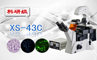 PUZHE蒲柘   XS-43C   三目倒置荧光显微镜