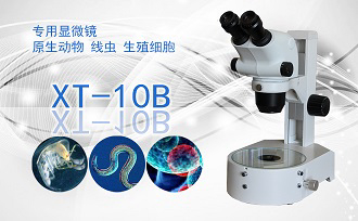 PUZHE蒲柘    XT-10B    双目连续变倍体视显微镜