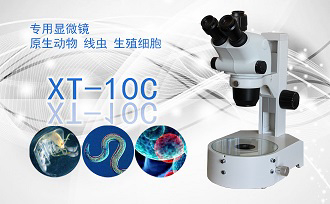 PUZHE蒲柘    XT-10C    三目连续变倍体视显微镜