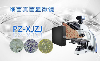 PUZHE蒲柘    XS-8C    细菌真菌显微镜