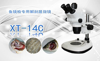 PUZHE蒲柘   XT-14C     鱼镜检专用解剖显微镜
