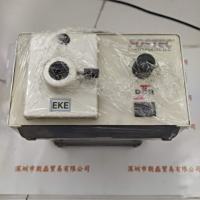 FOSTEC费斯托 SCHOTT-FOSTEC LLC 20750 光源机